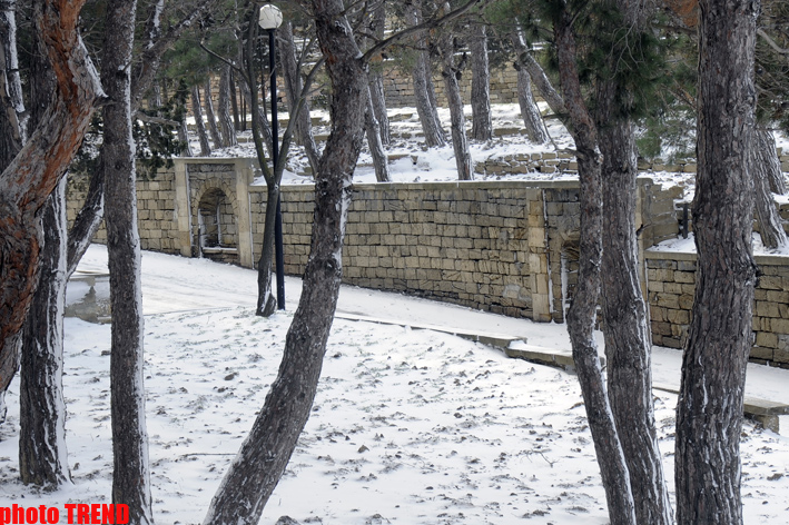 Snowfall in Baku (PHOTOSESSION)