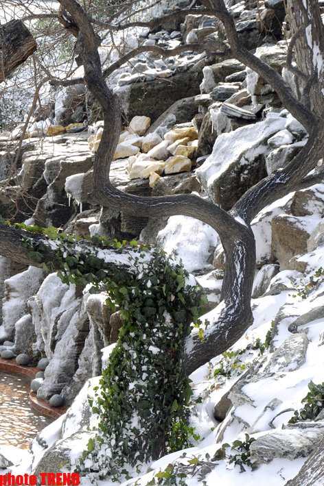 В иранской провинции Ардебиль выпал снег