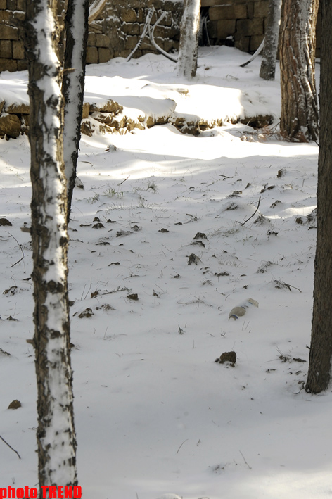 Snowfall in Baku (PHOTOSESSION)