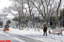 Snowfall in Baku (PHOTOSESSION)