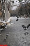 Snowfall in Baku (PHOTOSESSION)