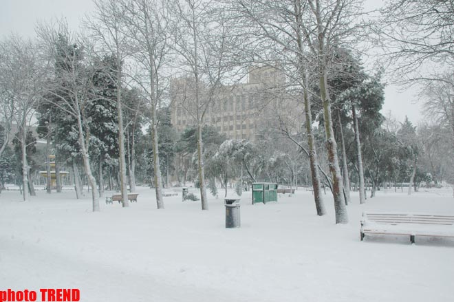 Пурга в Баку, или Cнежные страсти на улицах столицы (фотосессия)