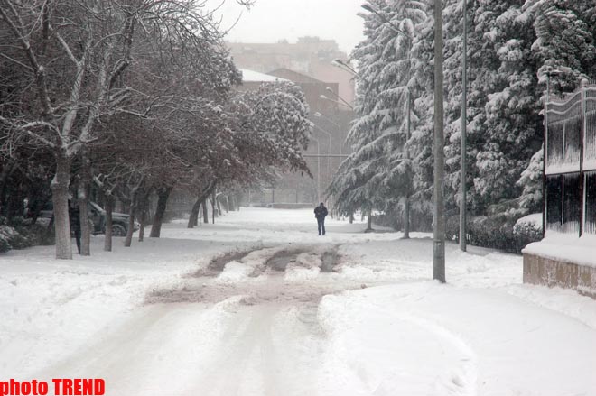 Пурга в Баку, или Cнежные страсти на улицах столицы (фотосессия)