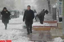 Пурга в Баку, или Cнежные страсти на улицах столицы (фотосессия)