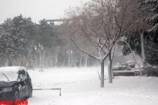 Снежный коллапс в Баку: света нет, хлеба нет, транспорт в режиме стопора (фотосессия)