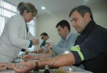 В компании "Avromed" проходит благотворительная акция по сдаче крови (фотосессия)