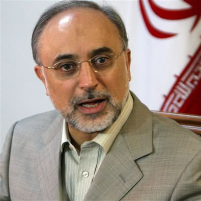Salehi back home at end of day-long Iraq visit