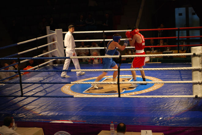 Бокс: Азербайджан - Украина - 5:6 (фотосессия)