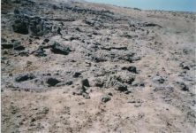 Geologist: Intensification of mud volcanoes in Azerbaijan is precursor of earthquakes (PHOTO)