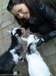 Певица Сафура вместе с баранами, козами и бегемотом (фотосессия)