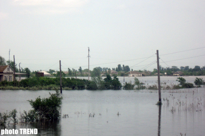 Стихийное бедствие, вызванное разливом реки Кура (ФОТОСЕССИЯ)