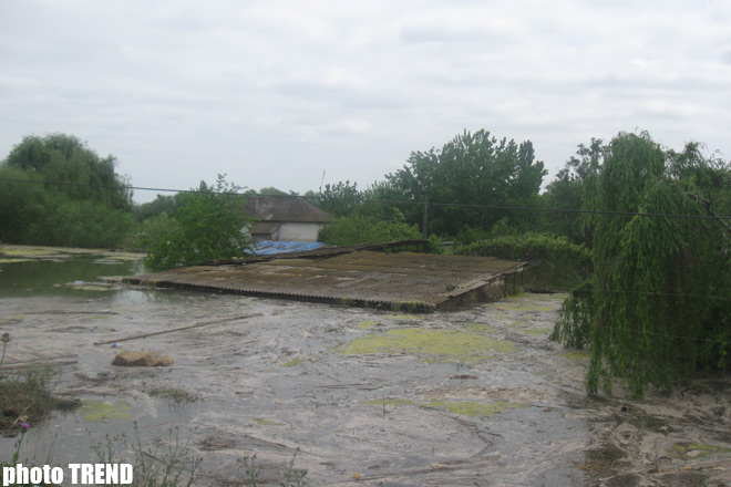 На территории Азербайджана в последние сутки наблюдается стабильный уровень воды в реках - минэкологии
