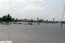 Стихийное бедствие, вызванное разливом реки Кура (ФОТОСЕССИЯ)