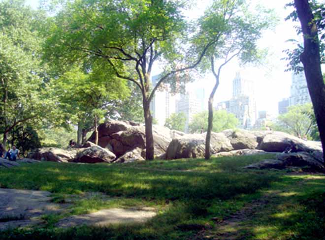 Центральный парк (Нью-Йорк)