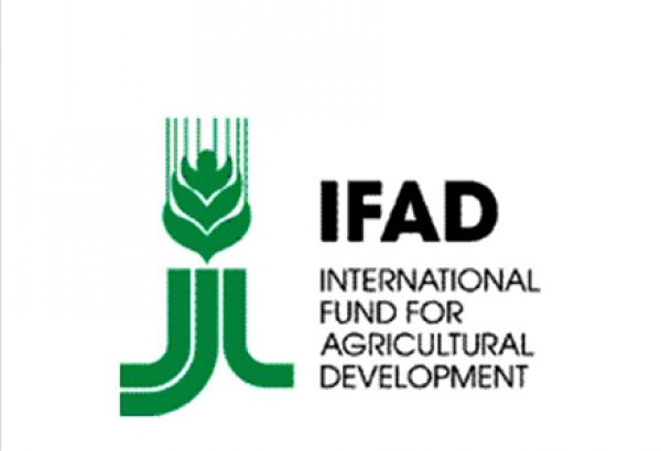 EU, IFAD to assist Georgian agricultural sector in increasing competitiveness