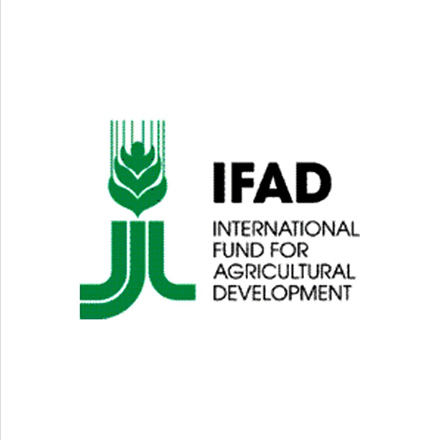 EU, IFAD to assist Georgian agricultural sector in increasing competitiveness