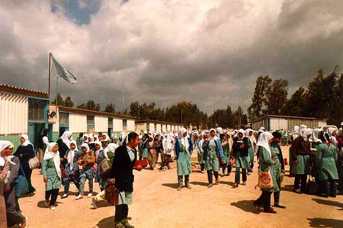 Группа из 25 вооруженных лиц в масках напала на детский летний лагерь БАПОР