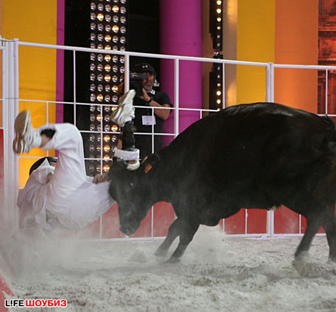 Звезда "Кремлевских курсантов" Аристарх Венес стал жертвой быка (фотосессия)