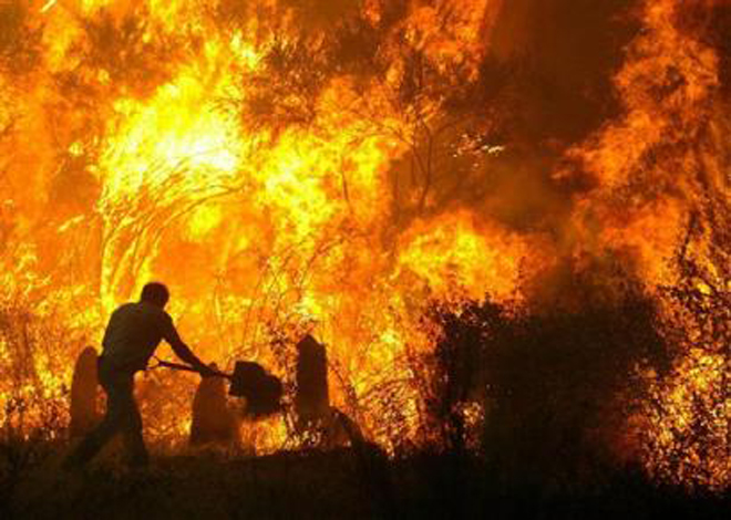 Более 30 пожаров бушует в заповедниках и нацпарках России