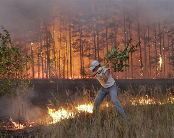Более 3 тыс гектаров леса горит в Сибири