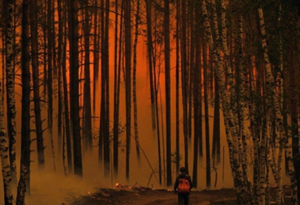 В центральной турецкой провинции третий день продолжаются лесные пожары