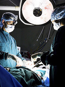 В Украине планируют проводить операции по трансплантации человеку капсульного мешка глаза свиньи