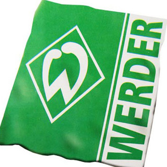 Werder Bremen sign Brazilian Wesley