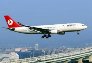 На борту самолета Turkish Airlines, экстренно севшего в Ирландии, не обнаружили бомбы