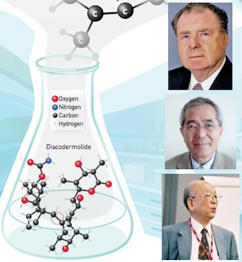 Нобелевская премия по химии 2010 присуждена трем ученым из Японии и США