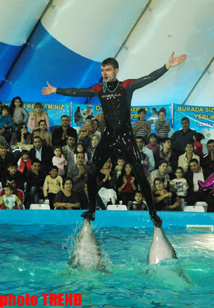 "TOYOTA Центр Баку" вместе с морскими котиками и дельфинами порадовал детей (фотосессия)