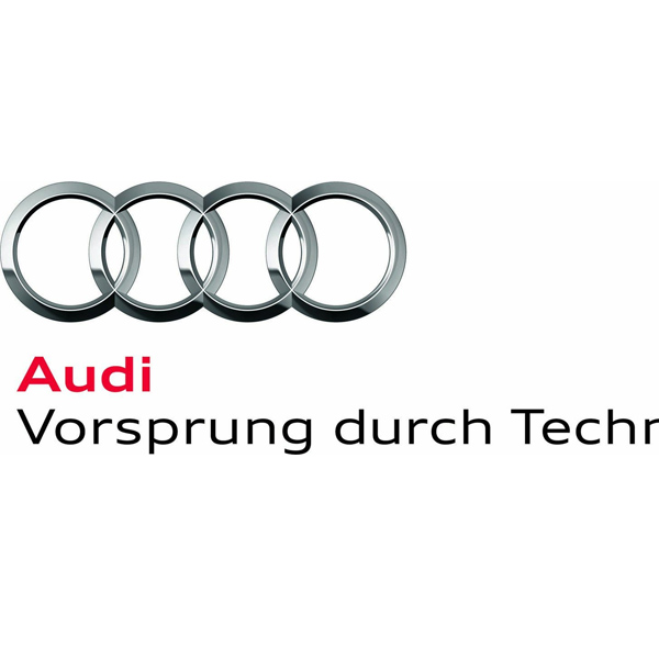 Audi reports car sales record in 2010