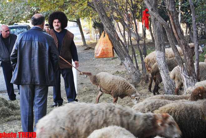 Azerbaijan marks Qurban holiday (PHOTO)