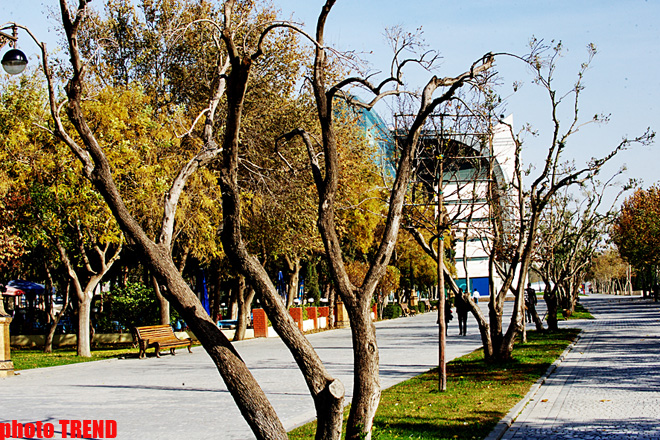 На Приморском бульваре Баку будет создана специальная полоса для велосипедистов