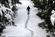 Занятия в Иране отменены из-за снегопада (ФОТО)