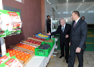 President Ilham Aliyev opens fruit drying and processing enterprise in Samukh (PHOTO)
