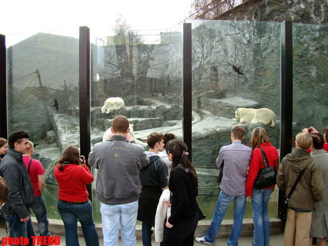 8 дней вокруг Европы! Пражский зоопарк: быть похожим на орангутанга - выгодно (фотосессия, часть первая)