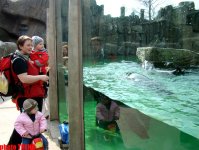8 дней вокруг Европы! Пражский зоопарк: быть похожим на орангутанга - выгодно (фотосессия, часть первая)