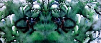 Живописная космогония в монотипиях Гусейна Алиева: трепещущие тени, мерцающий свет… (ФОТО)
