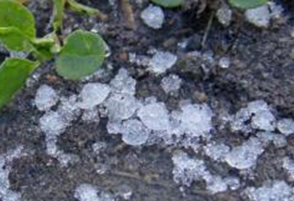 Severe hailstorm hits several villages in Georgia