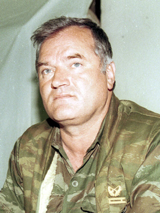 Ex-Bosnian Serb army head Mladic removed from court