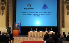 Состоялся азербайджано-словенский бизнес-форум (ФОТО)