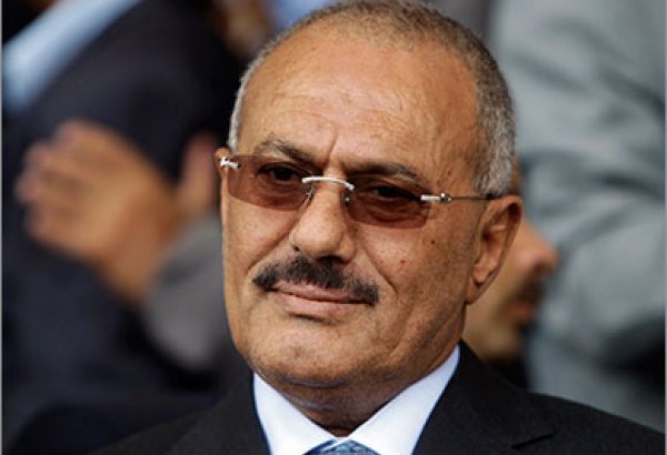 "Братья-мусульмане" начали терять свои позиции в Тунисе, Египте и Ливии – экс-президент Йемена