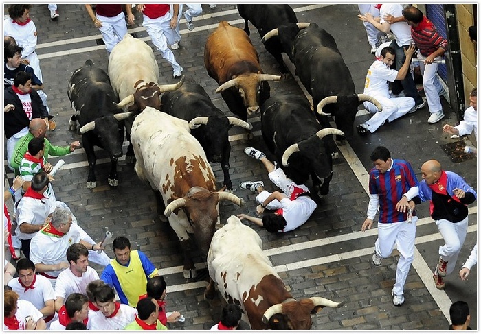 Eight hospitalized on last day of Pamplona bull-run
