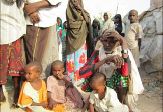 Тысячи человек в Сомали могут погибнуть из-за засухи