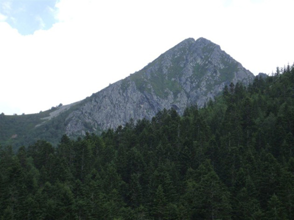 Body of missing Polish tourist found in Georgia’s mountains