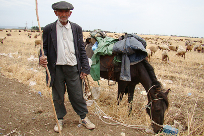 Фильм об азербайджанских пастухах на польском кинофестивале "TRANZYT"
