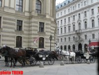 Вена: новые возможности и технологии в городском устройстве (ФОТО)