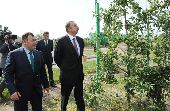 Ильхам Алиев ознакомился в Губе с комплексом холодильного склада для сортировки и хранения фруктов (ФОТО)