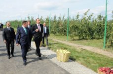 Ильхам Алиев ознакомился в Губе с комплексом холодильного склада для сортировки и хранения фруктов (ФОТО)