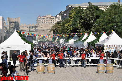 İçərişəhərdə üzüm yığımı festivalı (fotosessiya)